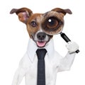 Magnifying glass dog Royalty Free Stock Photo