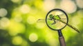 Magnifying glass dragonfly nature bokeh study Royalty Free Stock Photo