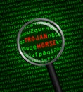 Magnifying glass finds trojan horse in computer code Royalty Free Stock Photo