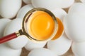 Magnifying glass focusing on chicken egg, closeup. Food control