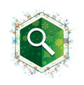 Magnifying glass icon floral plants pattern green hexagon button Royalty Free Stock Photo