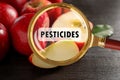 Magnifying glass with inscription Pesticides and apples. Food poisoning