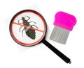 A magnifying glass and lice combs placed side by side on a clean white background Royalty Free Stock Photo