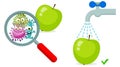 Magnifying Glass look through Germ, Bacteria, Virus, Microbe, Pathogen Characters on dirty green apple. Royalty Free Stock Photo