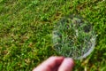 Magnifying glass observing the grass Royalty Free Stock Photo