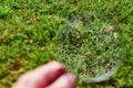 Magnifying glass observing the grass Royalty Free Stock Photo