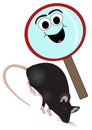 Magnifying glass and rat on a white background Royalty Free Stock Photo