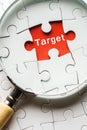 Magnifying glass searching missing puzzle peace TARGET Royalty Free Stock Photo