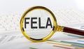 Magnifying glass with the word FELA on the chart background Royalty Free Stock Photo