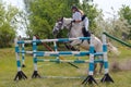 Magnitogorsk, Russia, - June, 14, 2014. A rider on a white horse jumps over a high barrier during a performance at Sabantuy - the