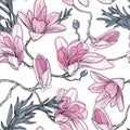 Magnolia background. Spring flowers. Seamless pattern with flawers. Vintage illustration. Blooming tree. Royalty Free Stock Photo