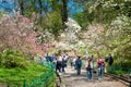 Magnolia bloom. Magnolias in the spring botanical garden. People admire nature. Ukraine. Kyiv. 04.25.2023