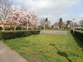 Magnolia blossom spring garden / beautiful flowers park gardena