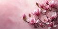 Magnolia branch with blooming pink flowers on soft pastel pink background with copy space, spring banner Royalty Free Stock Photo