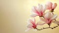 Magnolia branch with blooming pink flowers on soft pastel yellow background with copy space Royalty Free Stock Photo