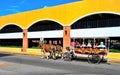 Magnolia Carriage Horse and Buggy in Savannah Royalty Free Stock Photo