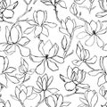 Magnolia.Floral vector background in line style. Seamless pattern. Branches with flowers of magnolia. Modern trendy graphic design Royalty Free Stock Photo