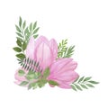 Magnolia flower arrangement clipart, floral composition, bouquet with leaves and flowers simple watercolor illustration for