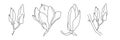 Magnolia flower blooming art. Hand drawn realistic detailed vector illustration. Black and white clipart collection. Royalty Free Stock Photo