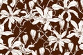 Magnolia flower brown sepia outline . Spring flowers. Seamless vector background. Royalty Free Stock Photo