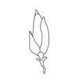 Magnolia flower bud outline. Hand drawn realistic detailed vector illustration. Black and white clipart. Royalty Free Stock Photo