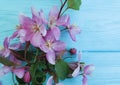 Magnolia flower decorative romantic springtime on a wooden background