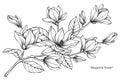 Magnolia flower drawing illustration. Black and white with line art. Royalty Free Stock Photo