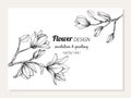 Magnolia Flower And Leaves Frame Drawing Illustration For Invitation And Greeting Card Design.