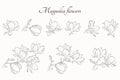 Magnolia flower set. hand drawn contour flourish illustration. floral element for greeting invitation design