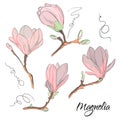 Magnolia flower sketch. Repeat botanical floral print. Modern nature elements.