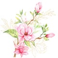 Magnolia Flower Watercolor Illustration, Magnolia Bouquet, Pink Magnolia Branch, Watercolor Floral Illustration isolated on white Royalty Free Stock Photo