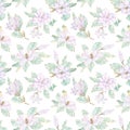 Magnolia flowers background. Watercolor spring floral seamless pattern. Elegant magnolia flowers and leaves Royalty Free Stock Photo