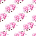 Magnolia flowers on branch hand drawn watercolor seamless pattern Royalty Free Stock Photo