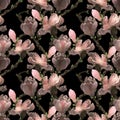 Magnolia - flowers and buds on a black background. Drawing on craft paper. Seamless pattern. The branches are blooming. Royalty Free Stock Photo