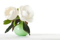 Magnolia Flowers Green Vase White Table Royalty Free Stock Photo