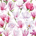 Magnolia flowers Seamless pattern. Magnolia flower watercolor illustration. Pink Floral pattern for wallpaper background Royalty Free Stock Photo