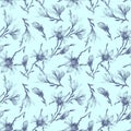 Magnolia flowers on a twig. Seamless pattern. Semitransparent grey flowers on light blue background. Royalty Free Stock Photo