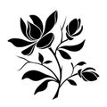 Magnolia flowers. Vector black silhouette.