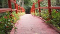 Magnolia Gardens bridge