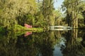 Magnolia Gardens scene with bridge in spring Royalty Free Stock Photo