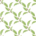 Magnolia leaves on branch hand drawn watercolor seamless pattern Royalty Free Stock Photo