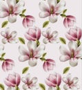 Magnolia pattern Vector watercolor. flowers decor on white backgrounds