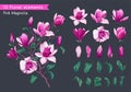 Set of realistic floral elements with pink magnolia flowers, branches and leaves.