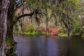 Magnolia Plantation Gardens 2