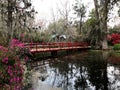 Magnolia Plantation