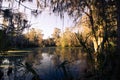 Magnolia Plantation and Gardens in Charleston, South Carolina Royalty Free Stock Photo