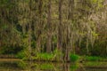 Magnolia Plantation Gardens Royalty Free Stock Photo