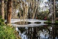 Magnolia Plantation and its Gardens near Charleston, South Carolina, USA Royalty Free Stock Photo