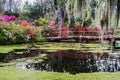 Magnolia Plantation and its Gardens near Charleston, South Carolina, USA Royalty Free Stock Photo