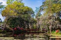 Magnolia Plantation and its Gardens near Charleston, South Carolina, USA Royalty Free Stock Photo